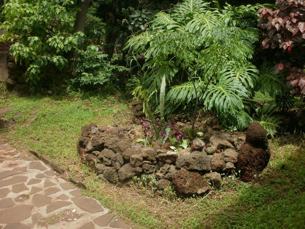 Cabanas Moenga Hanga Roa Ngoại thất bức ảnh