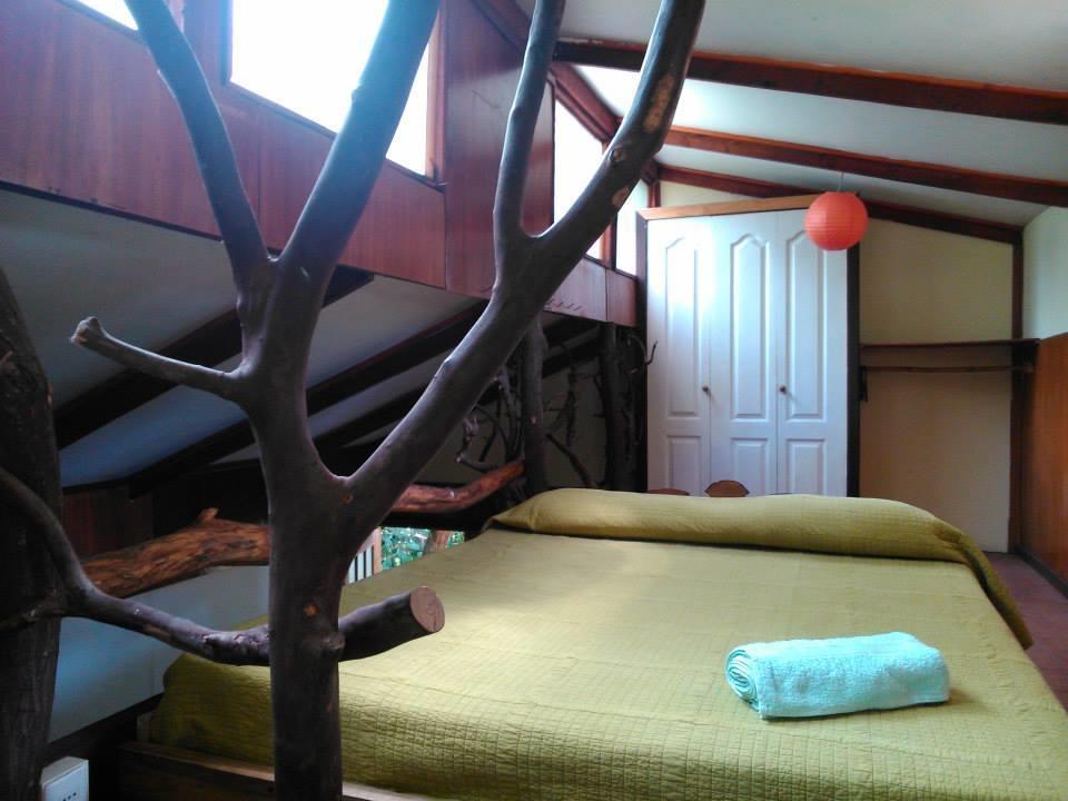 Cabanas Moenga Hanga Roa Phòng bức ảnh